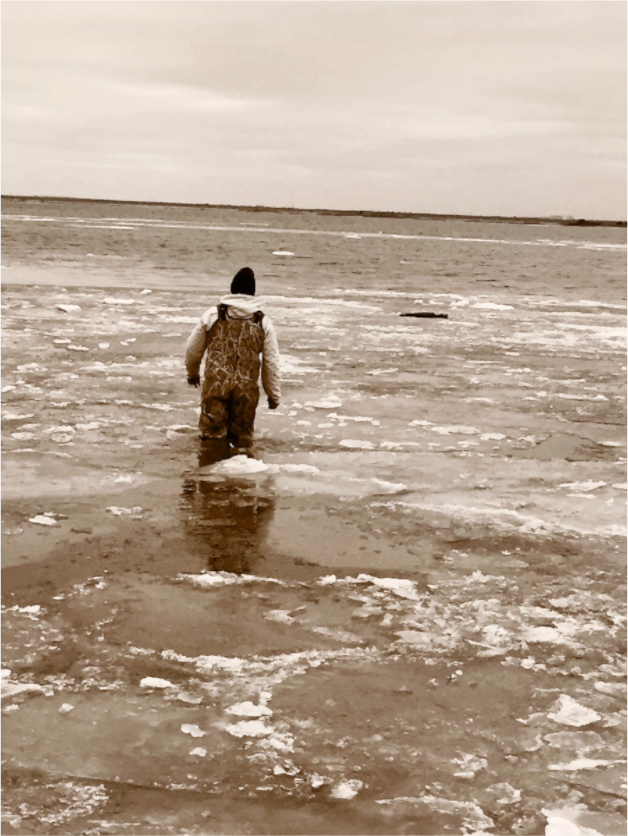 Main image Walking the Oysters