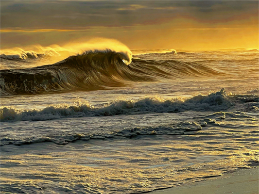 Main image Golden Swell