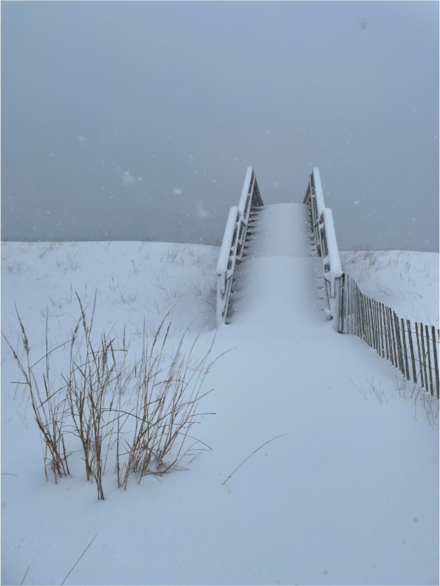 Snow-covered beach stairs disappearing into a winter whiteout on Fire Island, New York.