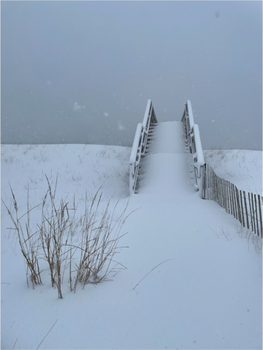 Snow-covered beach stairs disappearing into a winter whiteout on Fire Island, New York.