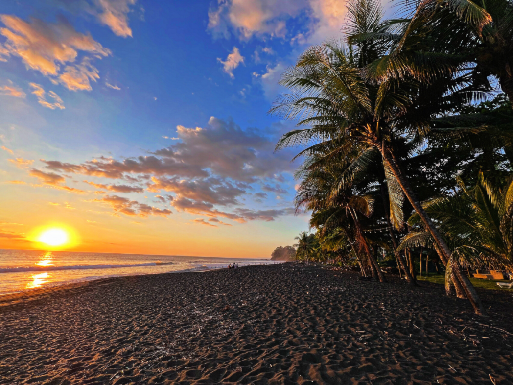 Golden sunset over a dark sand beach in Costa Rica with palm trees lining the tropical Pacific coastline.