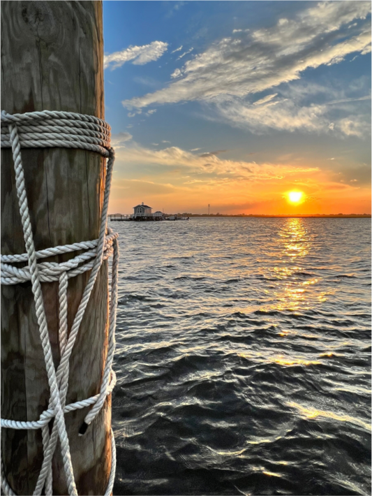 Main image Tied to the Tide